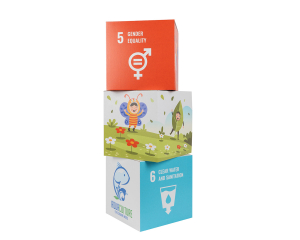 Promotional Boxes