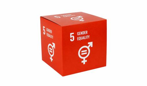SDG Box in full colour print